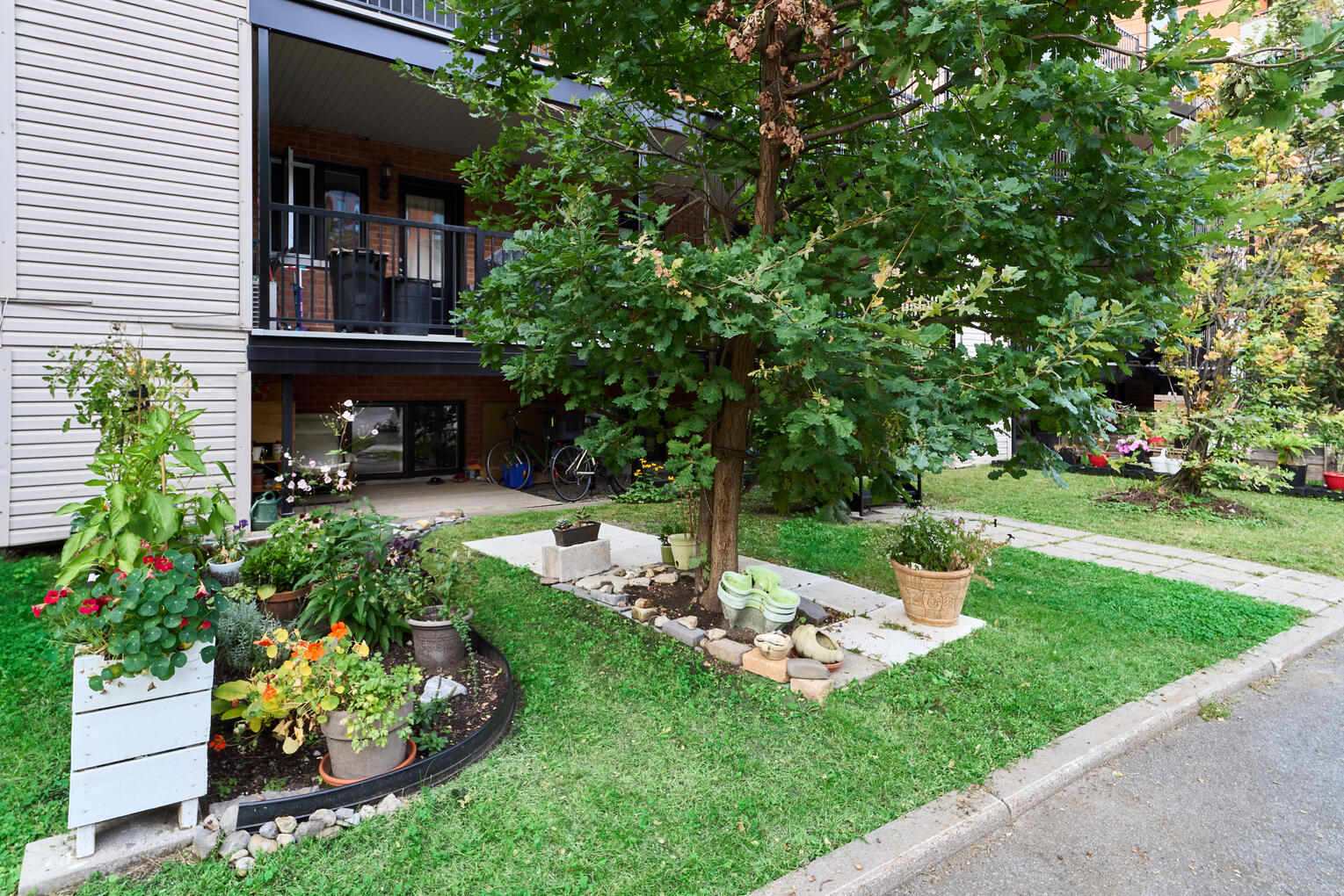 Cour arrière verdoyante avec arbre mature, jardin et terrasse résidentielle